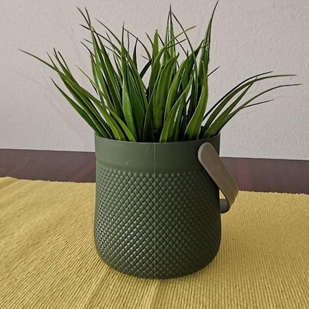 Center Apartment Delfina Охрид Екстер'єр фото